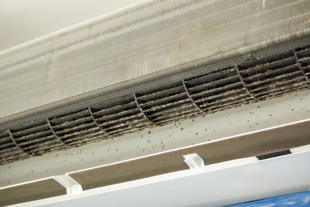 Ductwork Cleaning Services in Seth Ward, TX